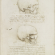 Illustration for article titled Worlds Oldest Anatomical Model Skull May Be Leonardo Da Vincis Work